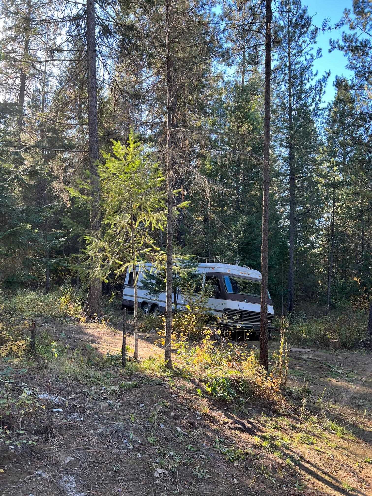 4966 D Lyons Hill Road Springdale, WA 99173 - Photo 14 of 26