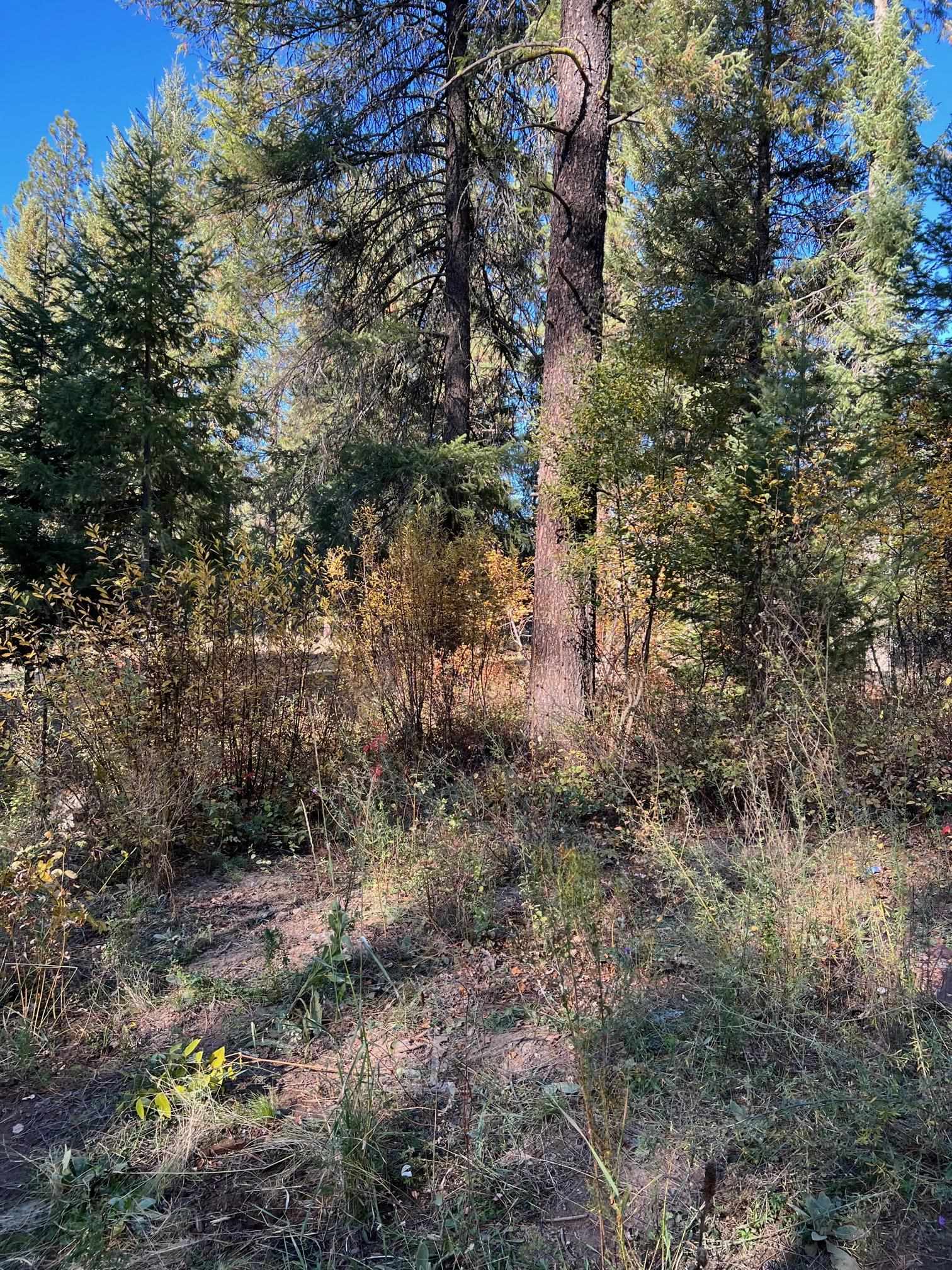 4966 D Lyons Hill Road Springdale, WA 99173 - Photo 15 of 26