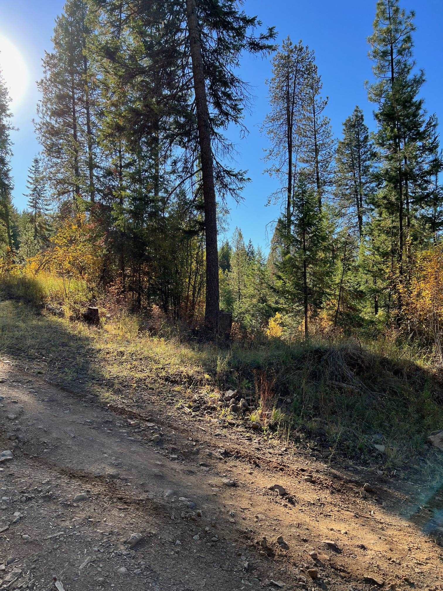 4966 D Lyons Hill Road Springdale, WA 99173 - Photo 19 of 26