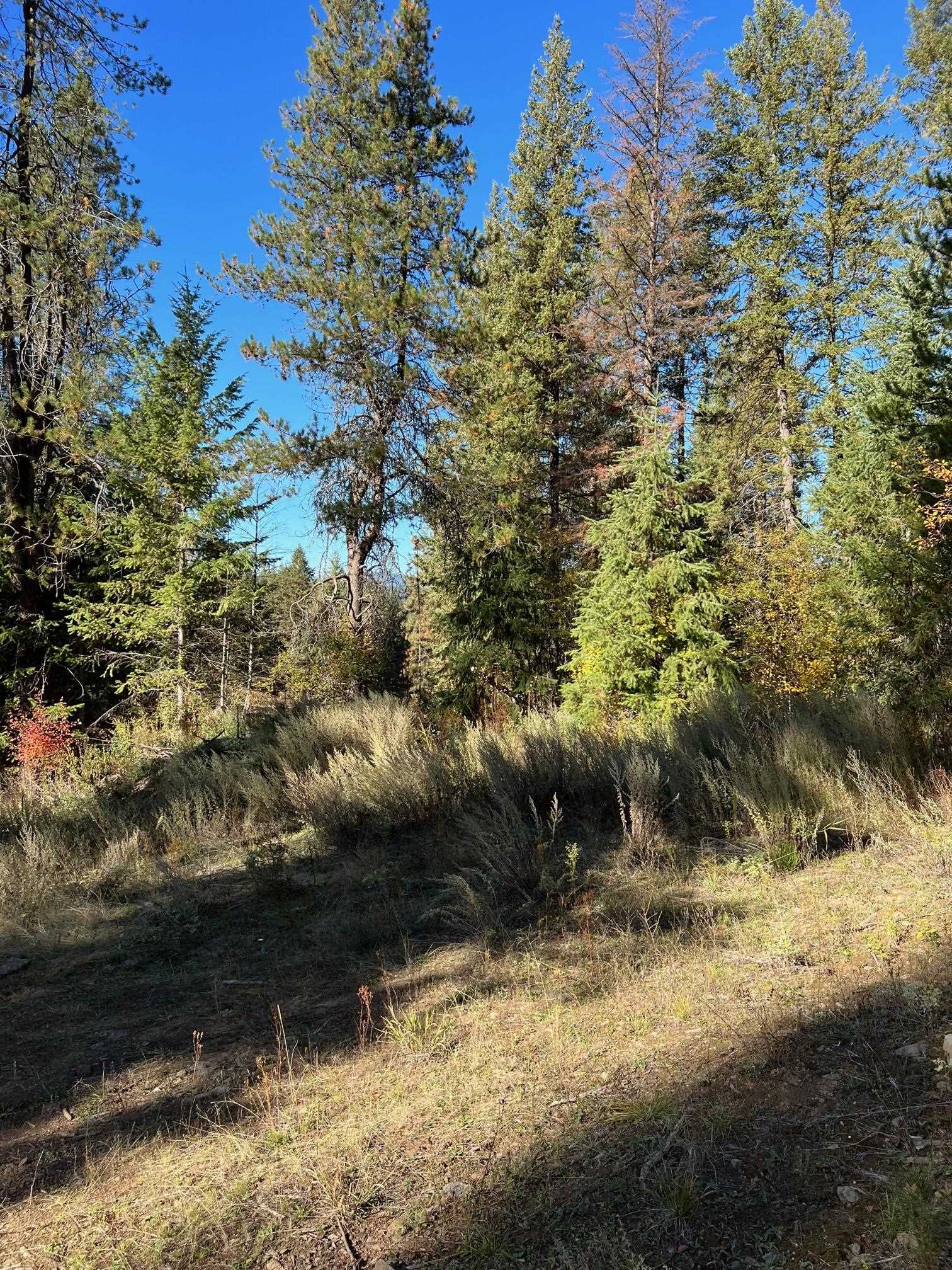 4966 D Lyons Hill Road Springdale, WA 99173 - Photo 20 of 26