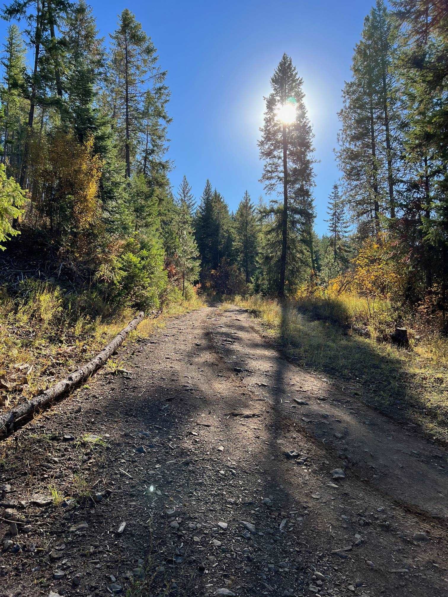 4966 D Lyons Hill Road Springdale, WA 99173 - Photo 2 of 26