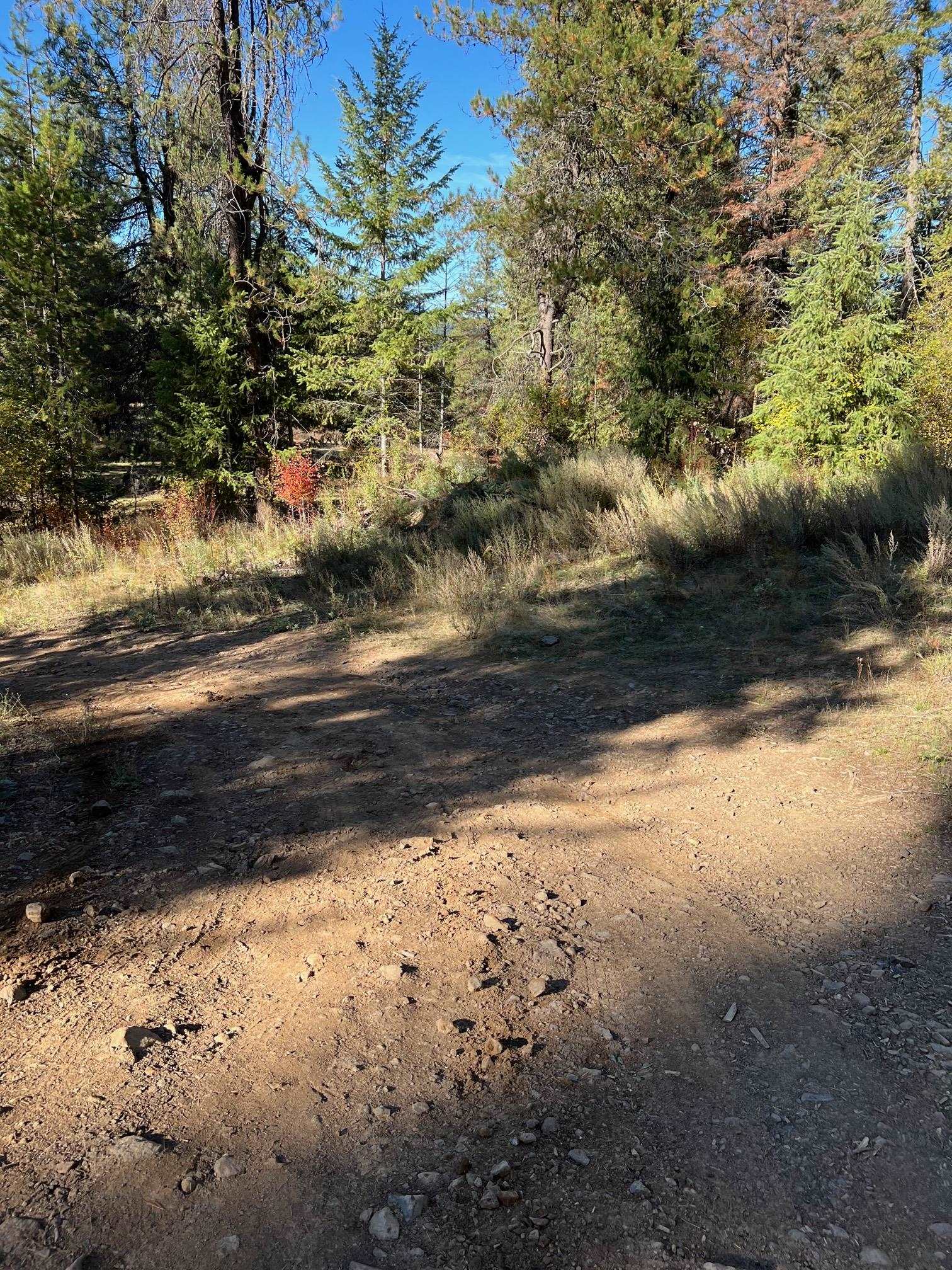 4966 D Lyons Hill Road Springdale, WA 99173 - Photo 21 of 26