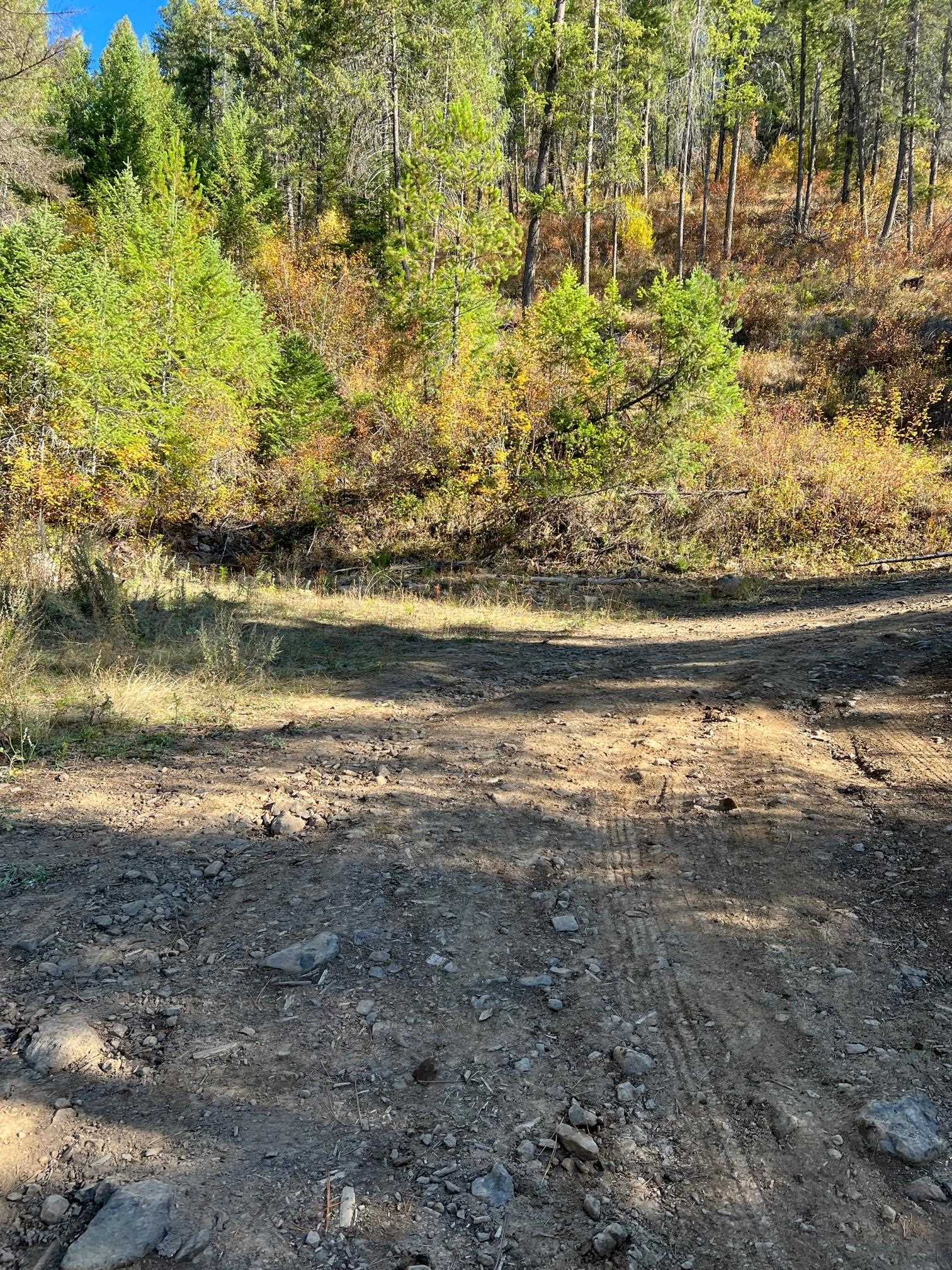 4966 D Lyons Hill Road Springdale, WA 99173 - Photo 23 of 26