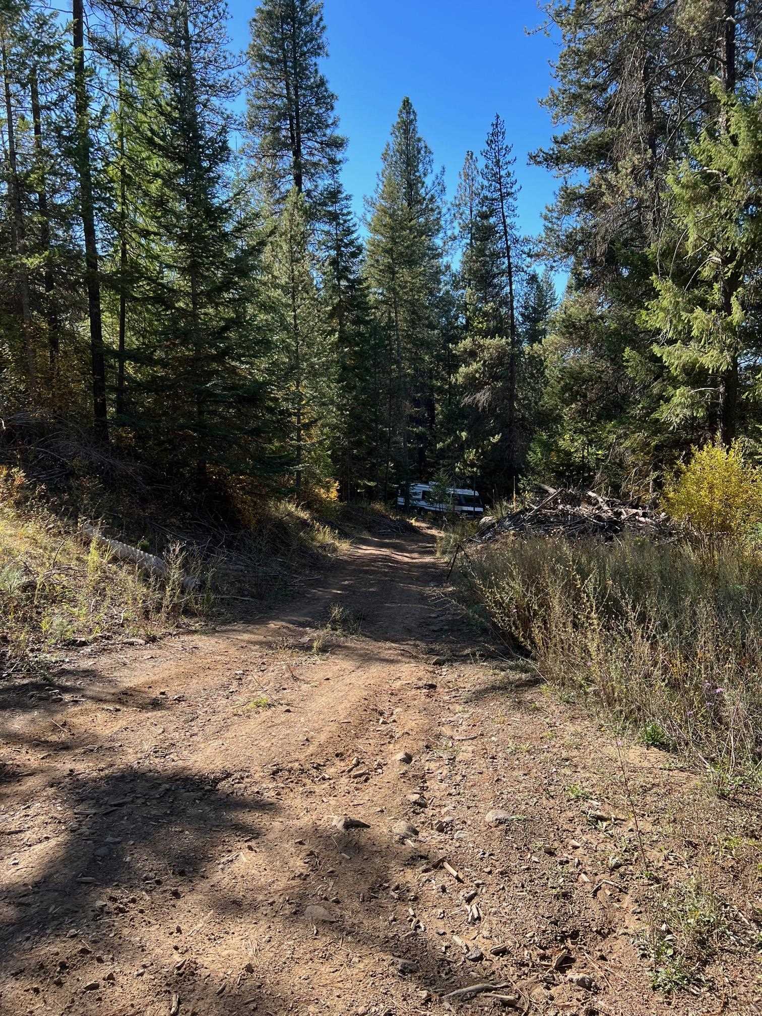 4966 D Lyons Hill Road Springdale, WA 99173 - Photo 24 of 26