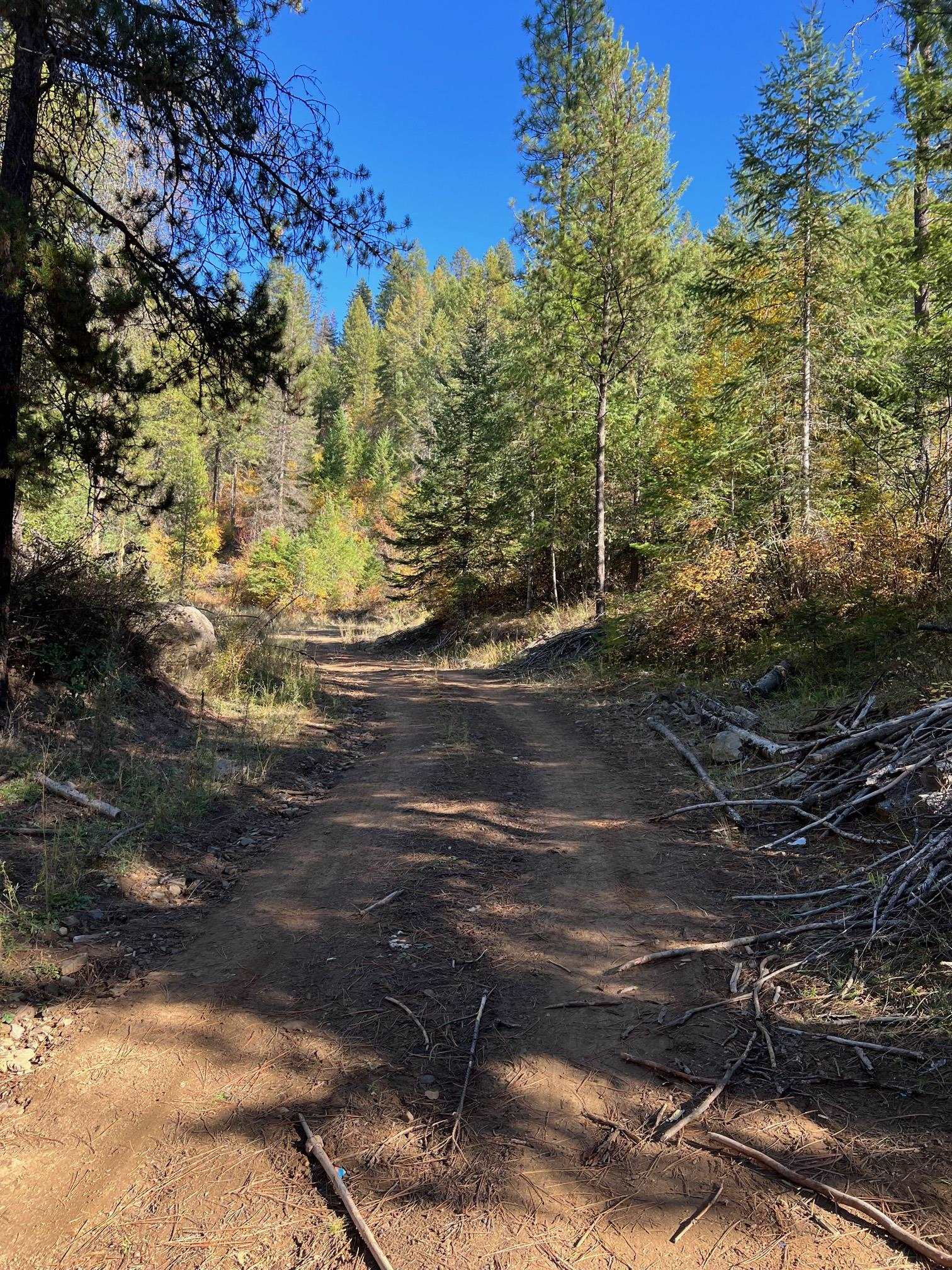 4966 D Lyons Hill Road Springdale, WA 99173 - Photo 25 of 26