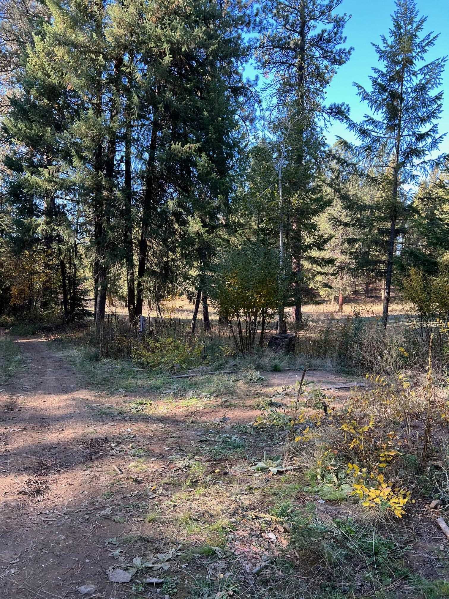 4966 D Lyons Hill Road Springdale, WA 99173 - Photo 4 of 26