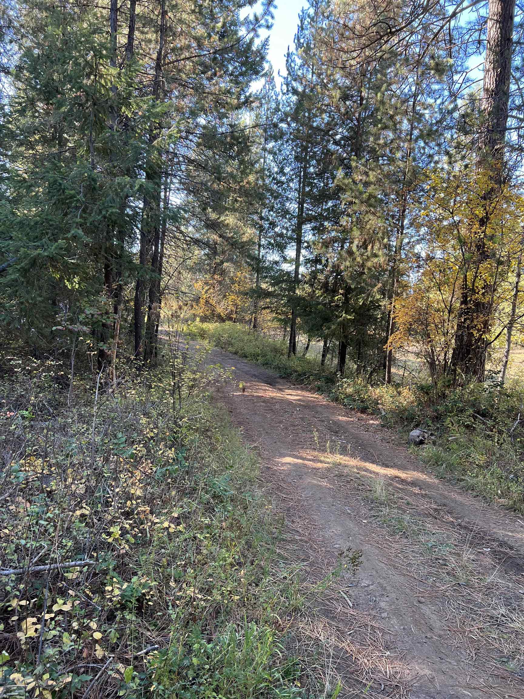 4966 D Lyons Hill Road Springdale, WA 99173 - Photo 7 of 26