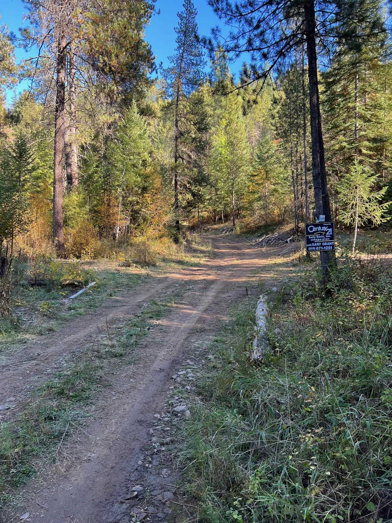 4966 D Lyons Hill Road Springdale, WA 99173 - Photo 8 of 26