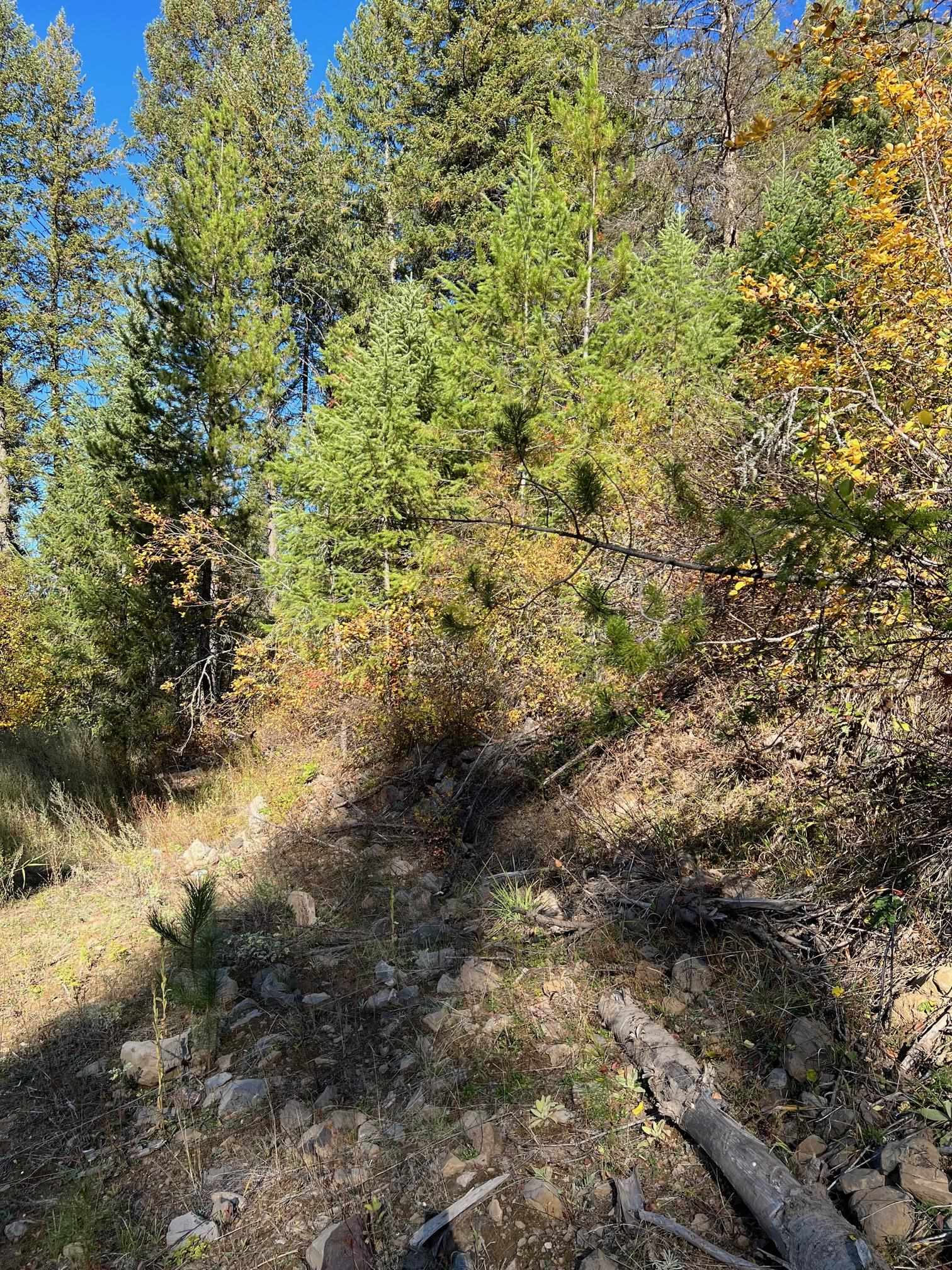 4966 D Lyons Hill Road Springdale, WA 99173 - Photo 9 of 26