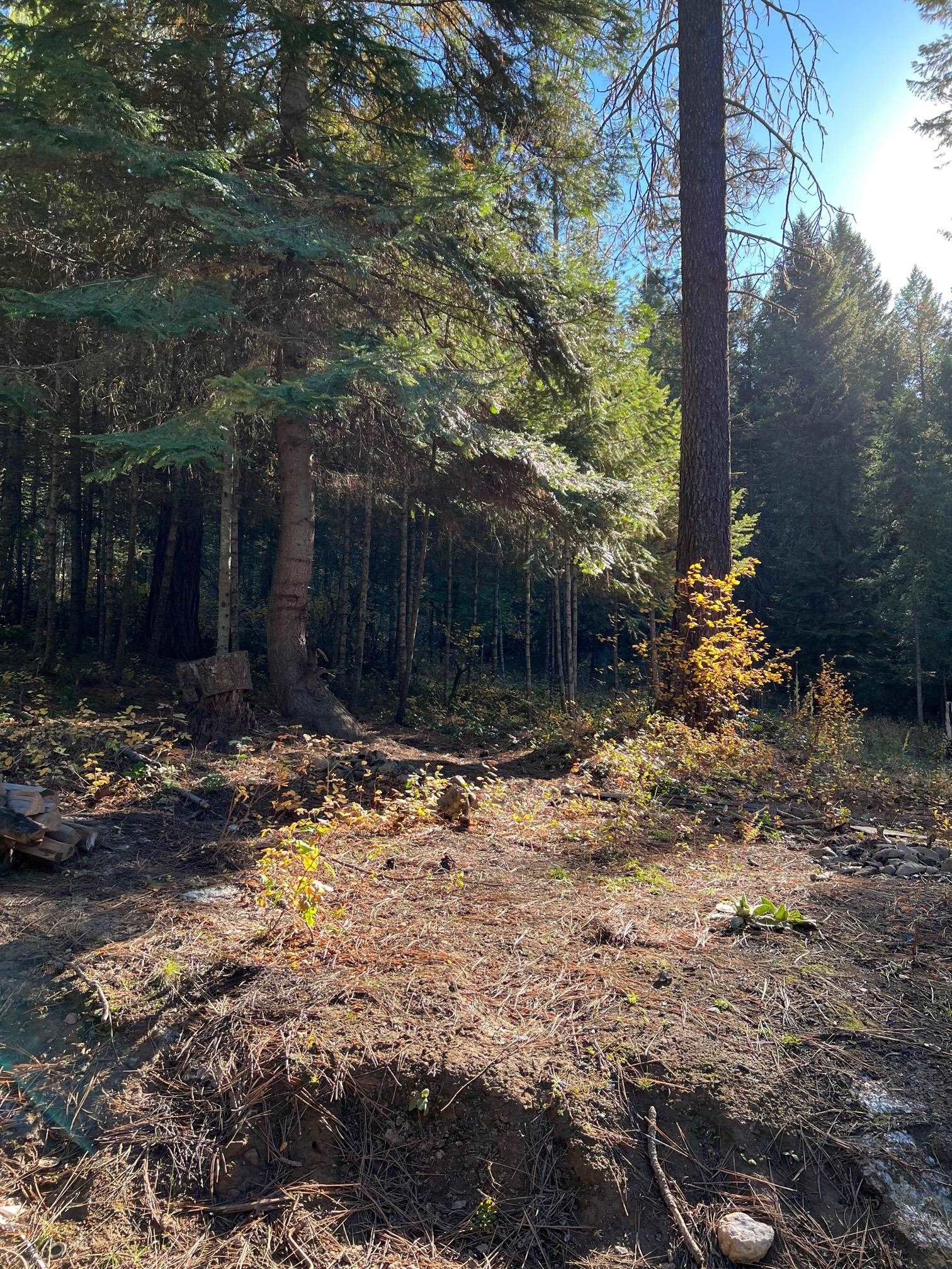 4966 D Lyons Hill Road Springdale, WA 99173 - Photo 10 of 26