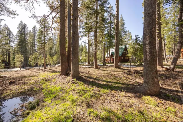 a view of outdoor space with trees