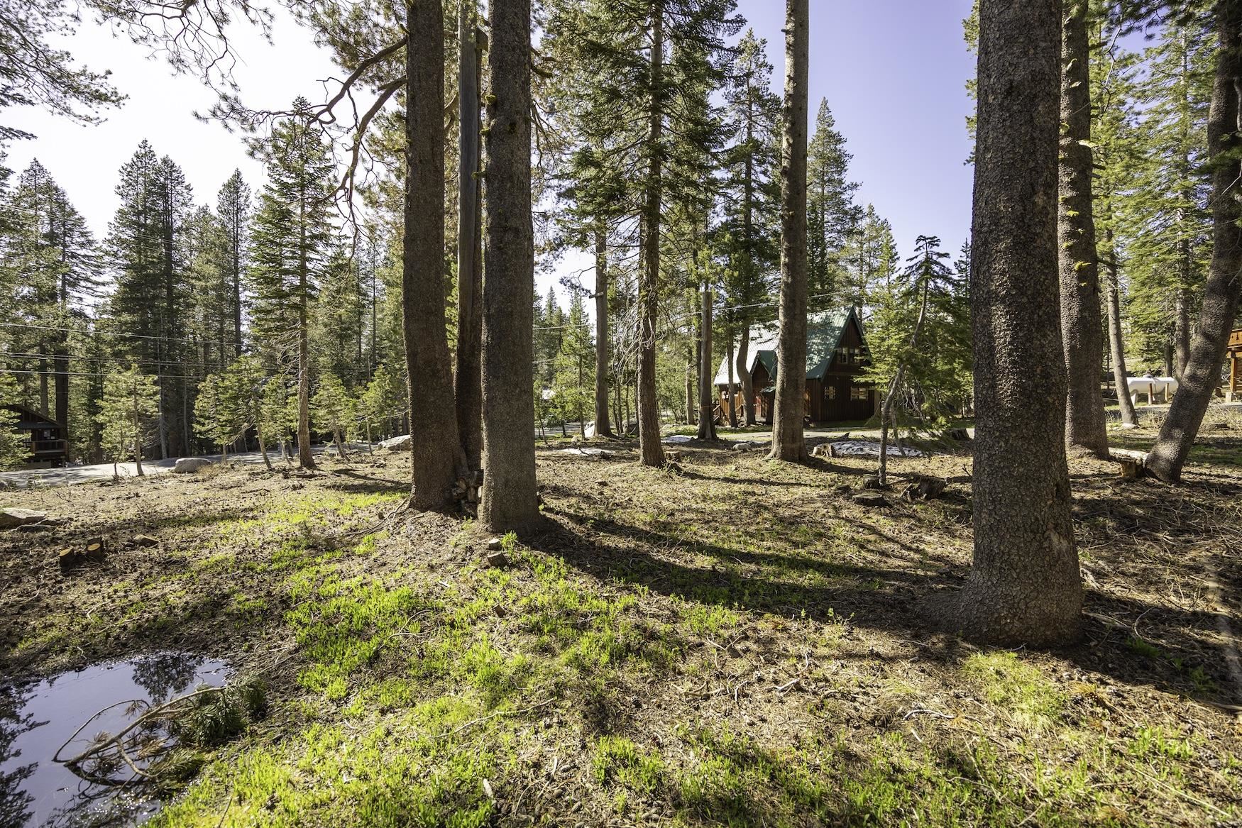 a view of outdoor space with trees