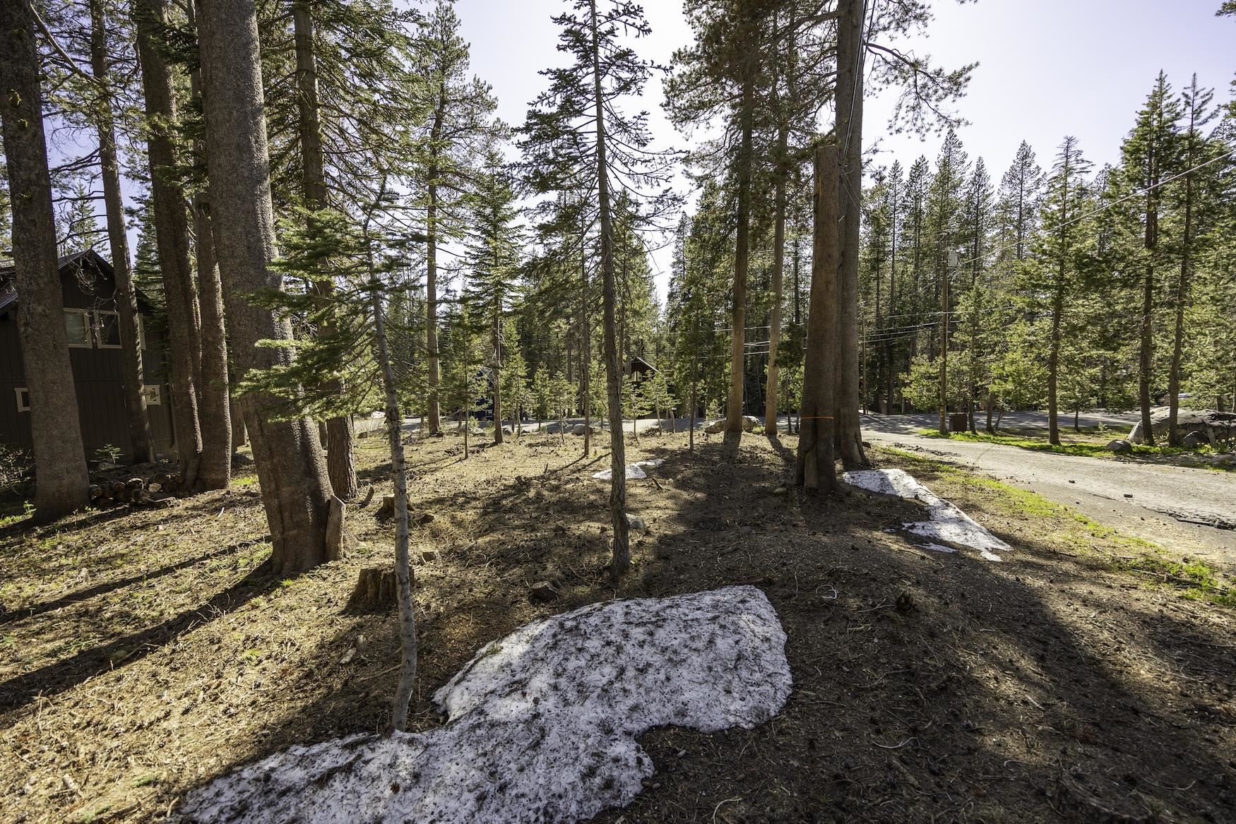 5770 Soda Springs Road Soda Springs, CA 95728 - Photo 4 of 11 a view of a yard with trees
