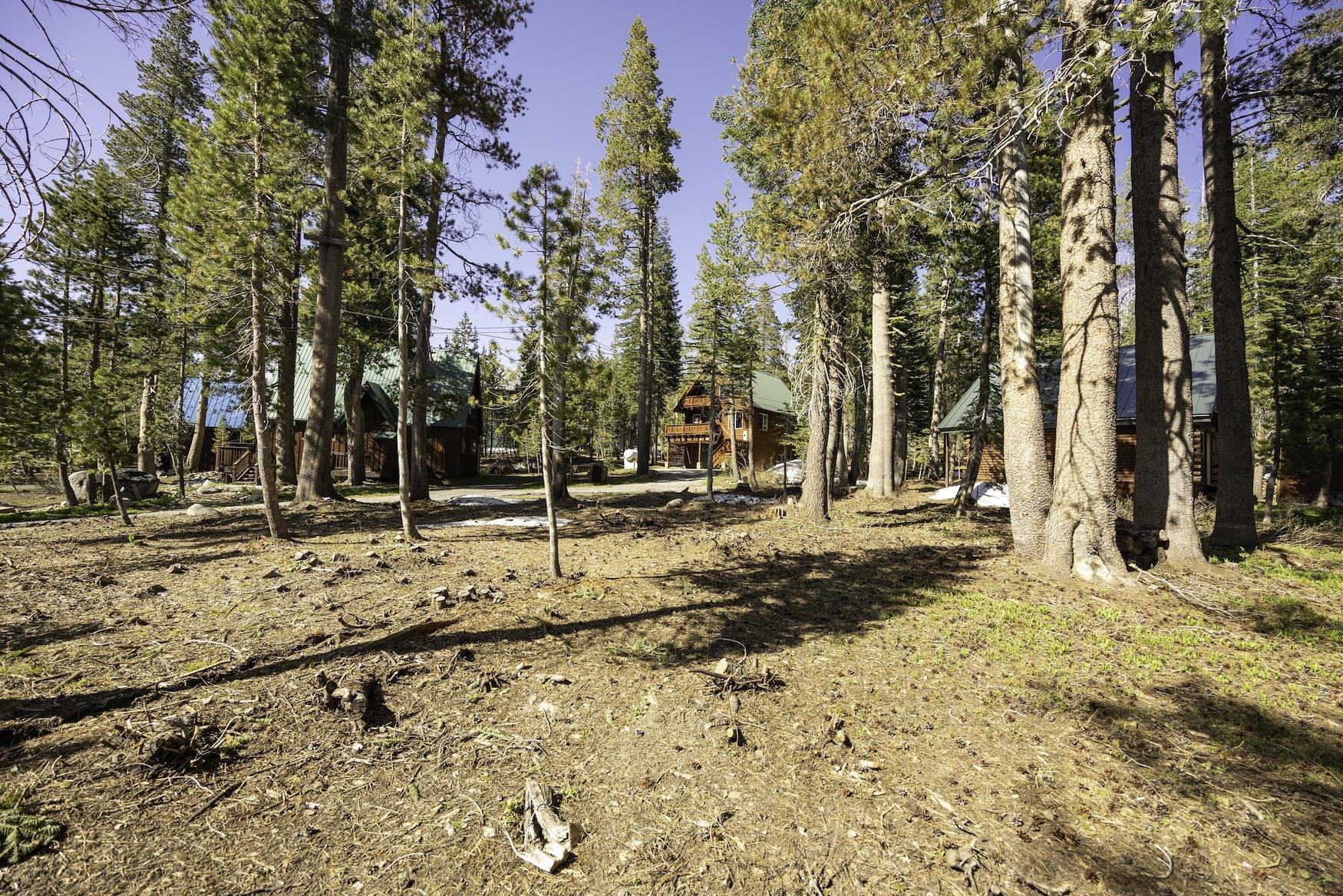 5770 Soda Springs Road Soda Springs, CA 95728 - Photo 5 of 11 a view of a yard with snow on the road