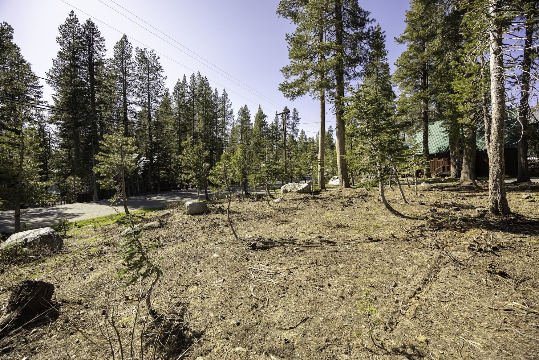 5770 Soda Springs Road Soda Springs, CA 95728 - Photo 6 of 11 a view of outdoor space with trees