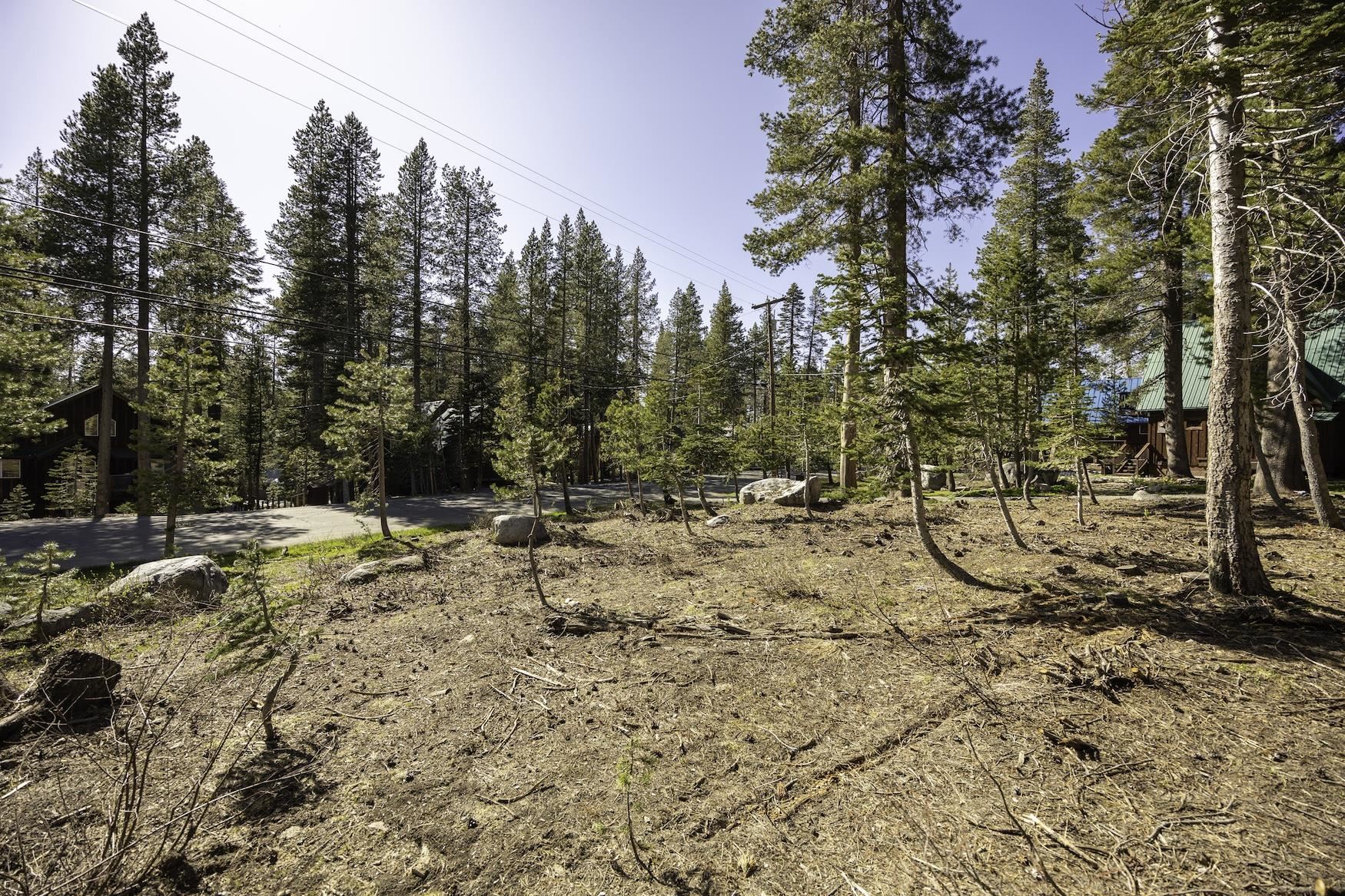 5770 Soda Springs Road Soda Springs, CA 95728 - Photo 7 of 11 a view of a yard with trees
