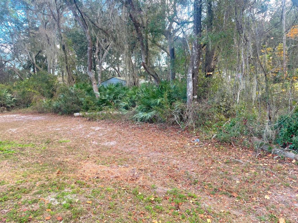 Southeast 169th Terrace Road Silver Springs, FL 34488 - Photo 4 of 7 a view of a forest with trees in the background