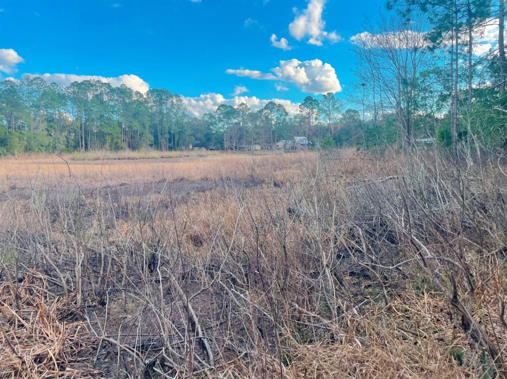 Southeast 169th Terrace Road Silver Springs, FL 34488 - Photo 6 of 7 a view of a dry yard