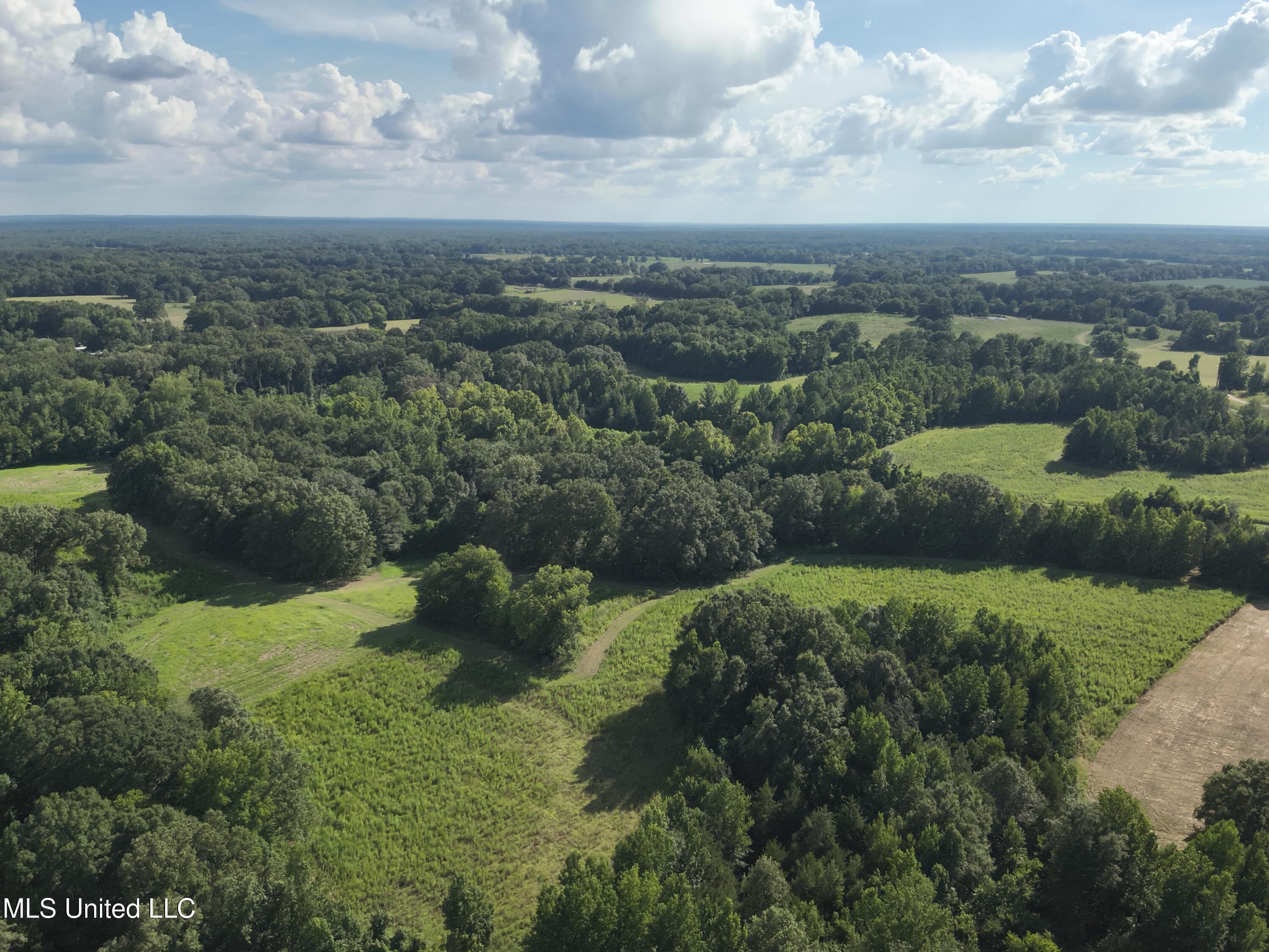 Scotland Road Bentonia, MS 39040 - Photo 13 of 40 DJI_20250717170556_0021_V