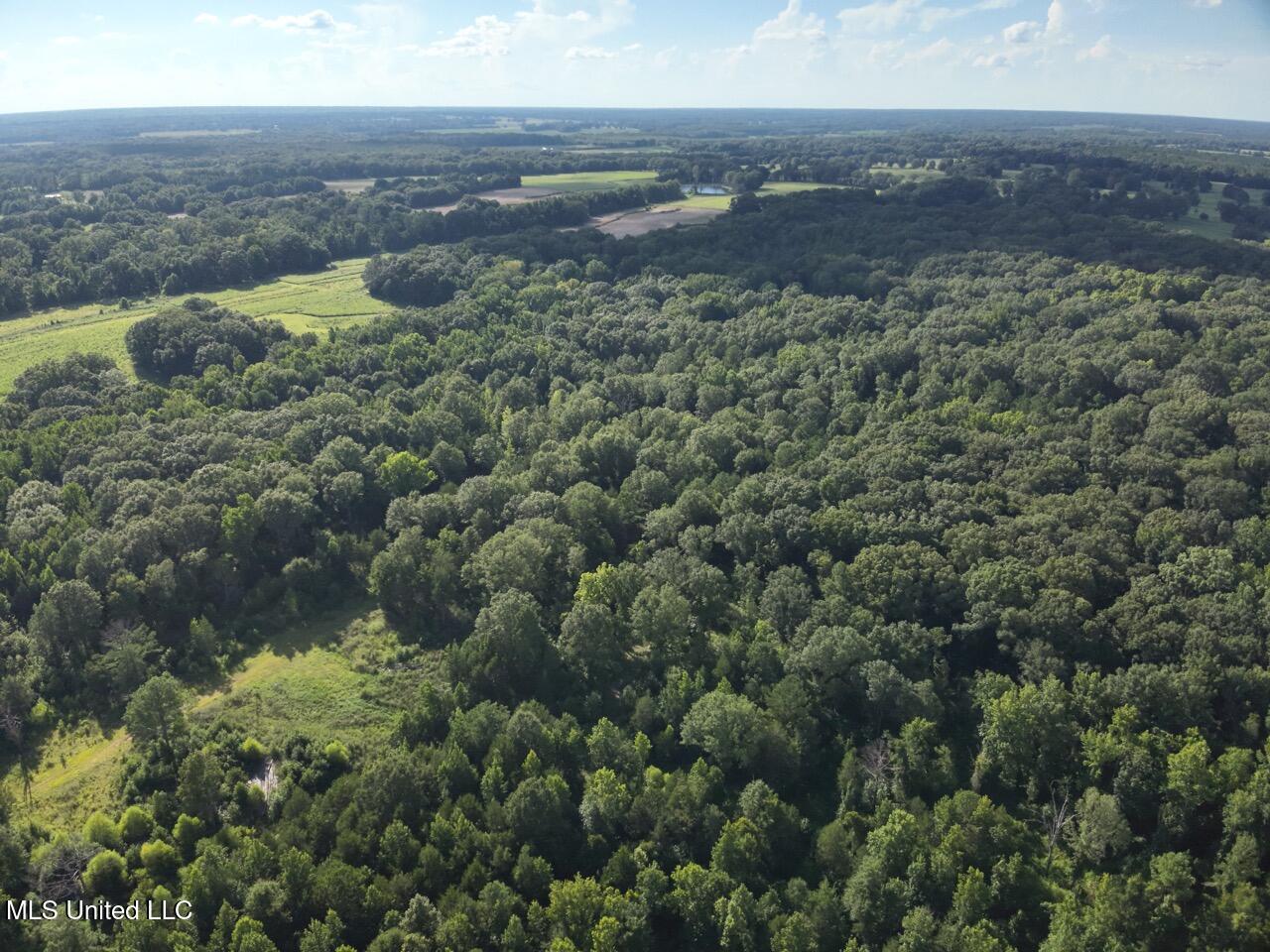 Scotland Road Bentonia, MS 39040 - Photo 18 of 40 DJI_20250717172207_0014_V Large