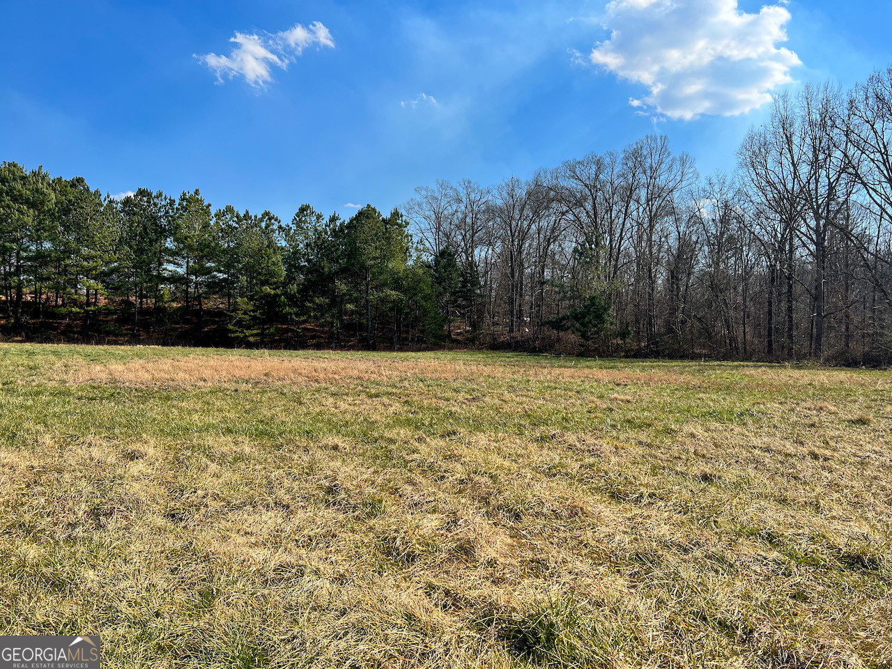 4444 State Highway Cornelia, GA 30531 - Photo 11 of 18