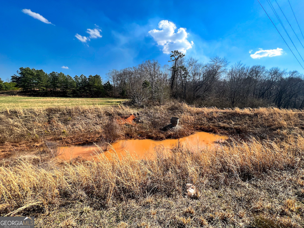 4444 State Highway Cornelia, GA 30531 - Photo 15 of 18