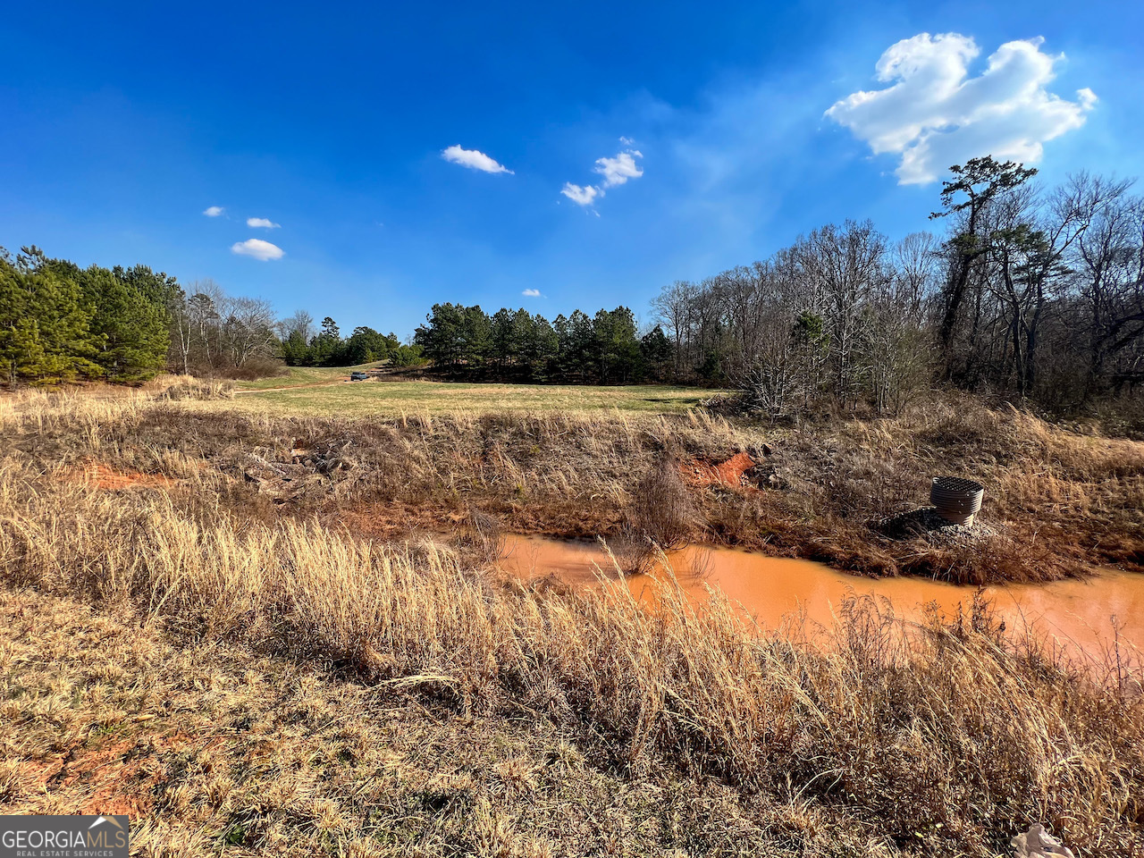 4444 State Highway Cornelia, GA 30531 - Photo 16 of 18