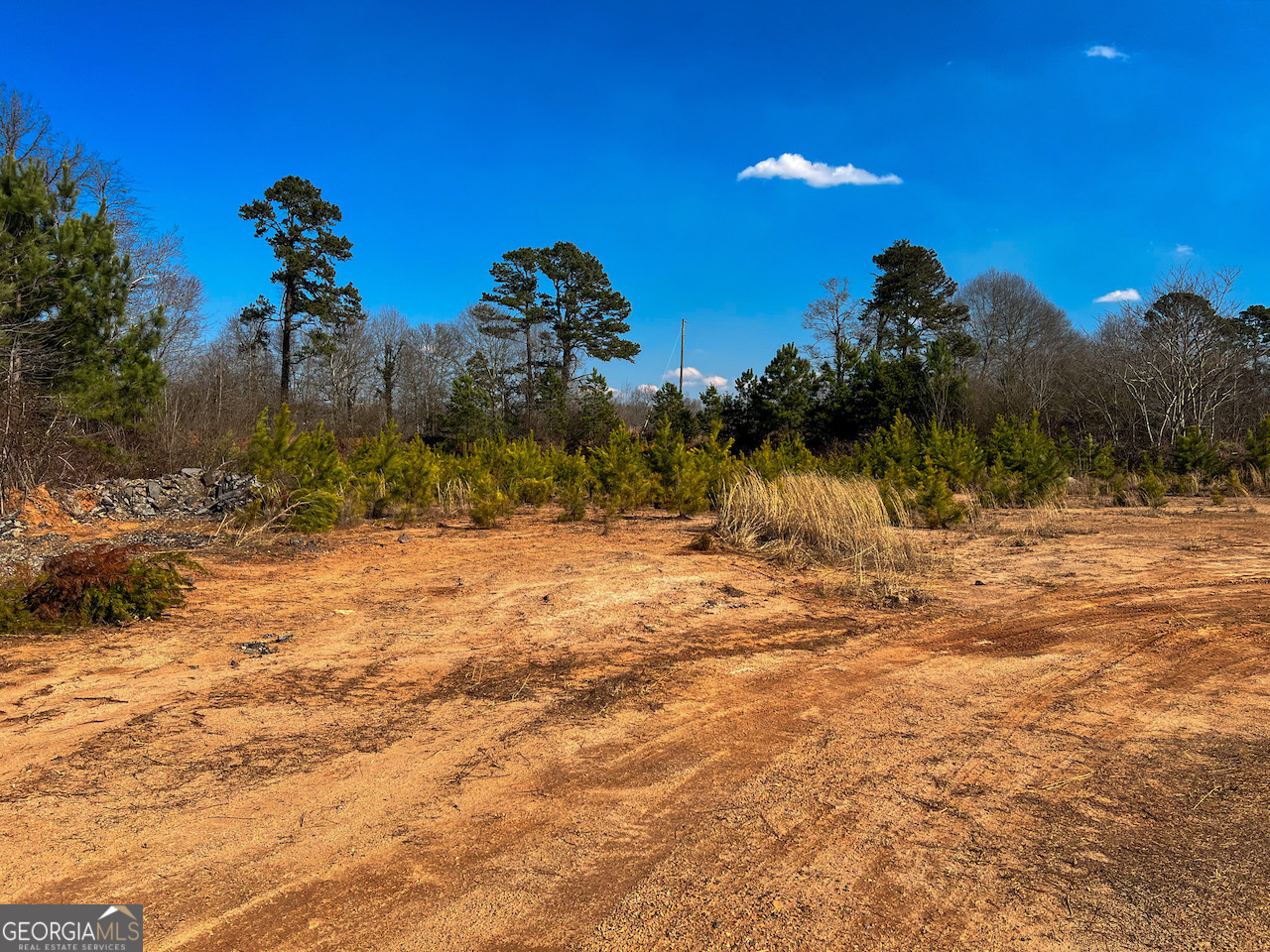 4444 State Highway Cornelia, GA 30531 - Photo 2 of 18