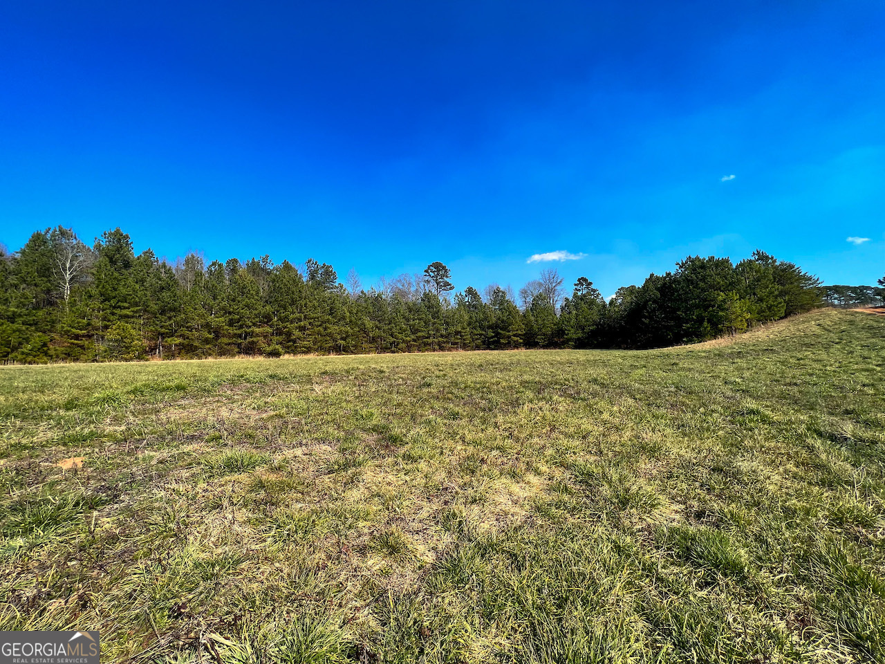 4444 State Highway Cornelia, GA 30531 - Photo 3 of 18