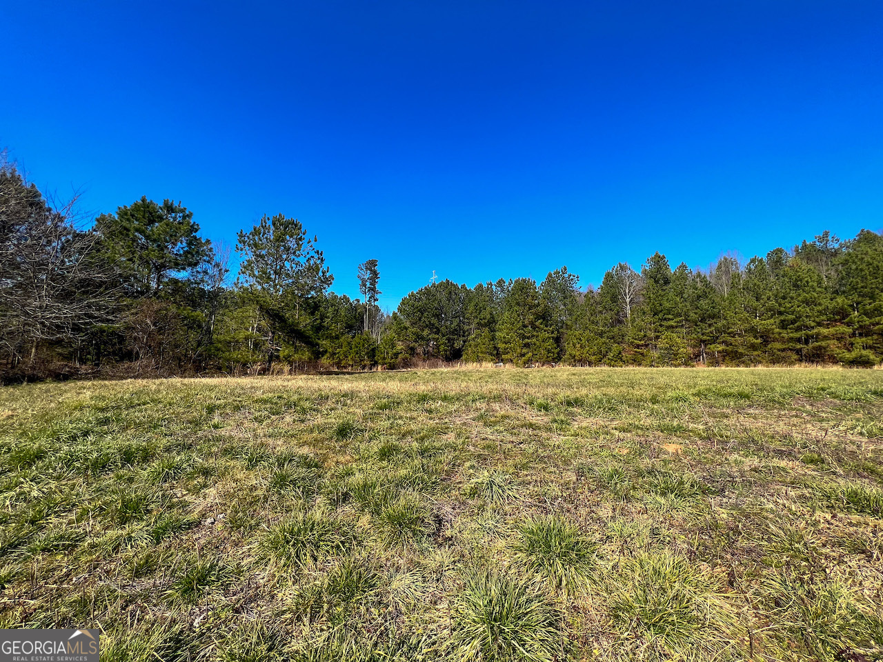 4444 State Highway Cornelia, GA 30531 - Photo 4 of 18