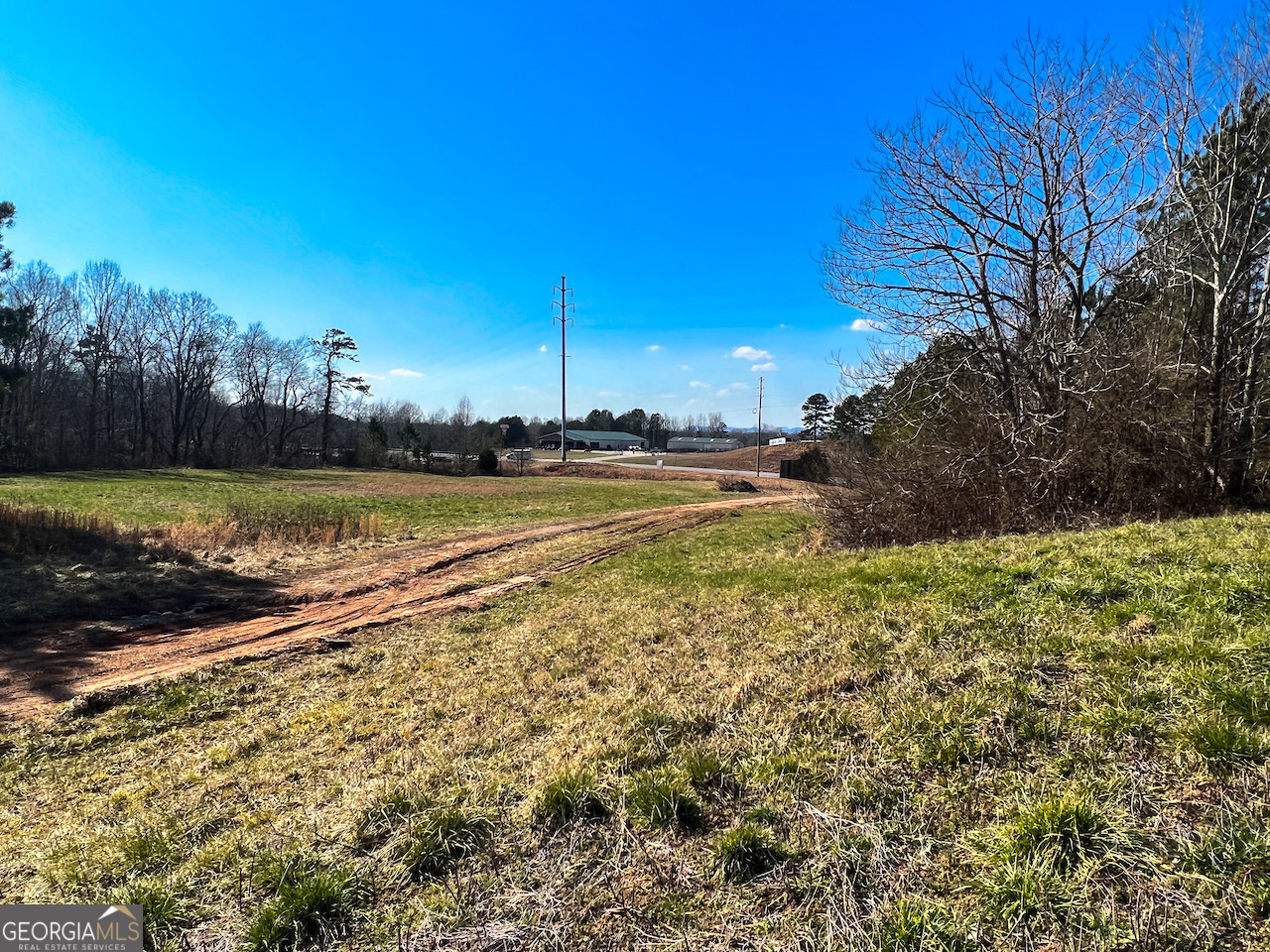 4444 State Highway Cornelia, GA 30531 - Photo 5 of 18