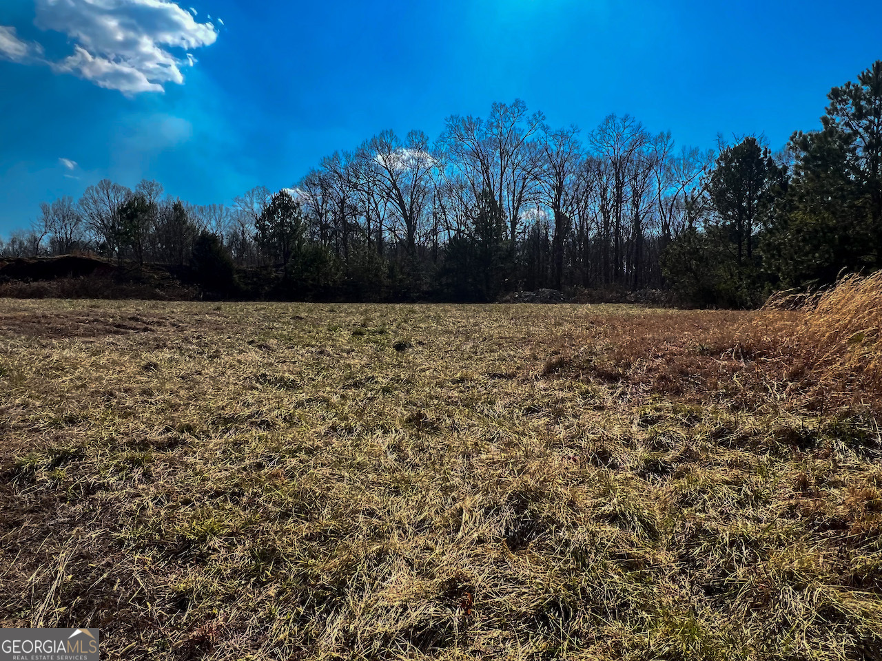 4444 State Highway Cornelia, GA 30531 - Photo 6 of 18