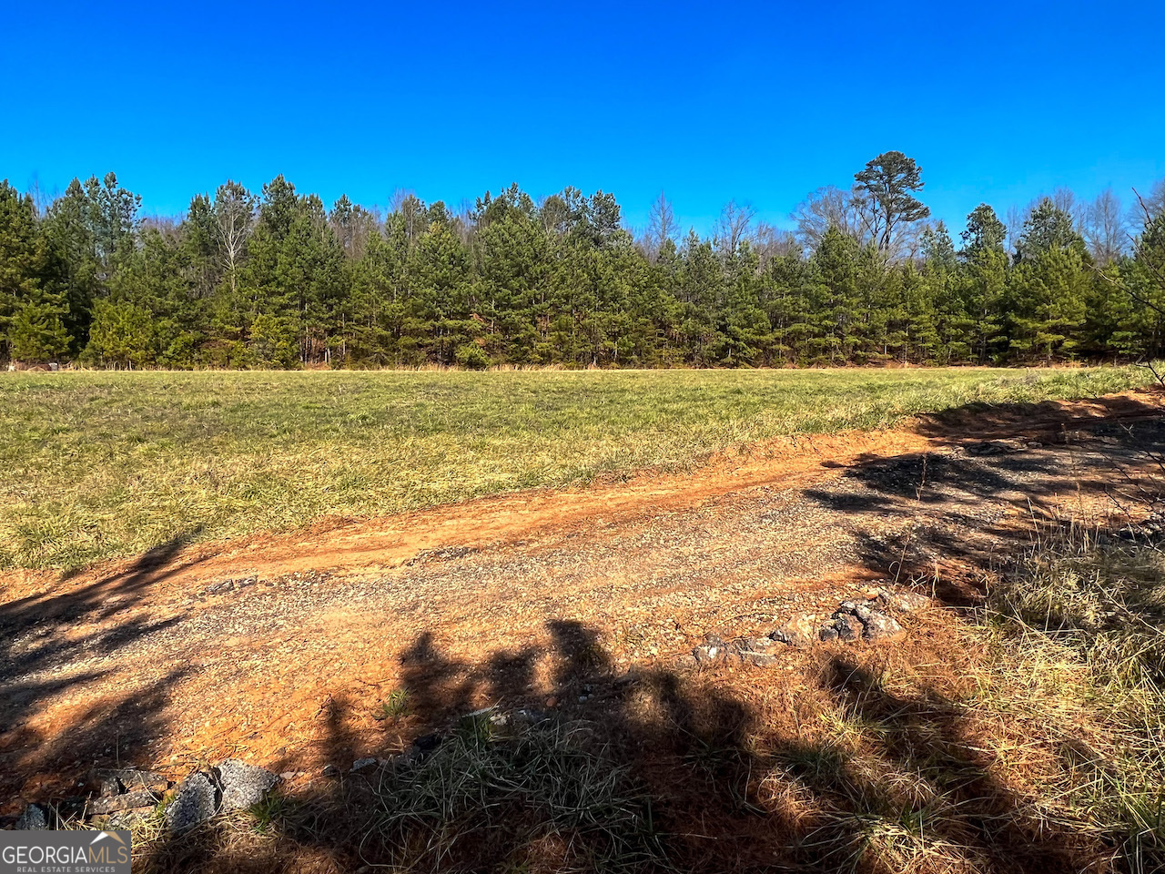 4444 State Highway Cornelia, GA 30531 - Photo 8 of 18