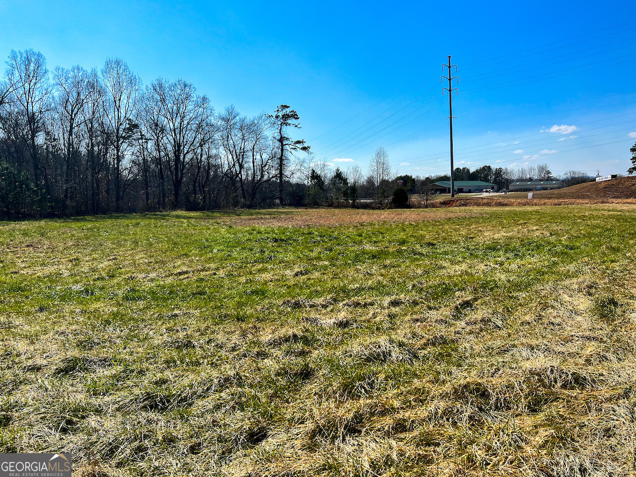 4444 State Highway Cornelia, GA 30531 - Photo 9 of 18