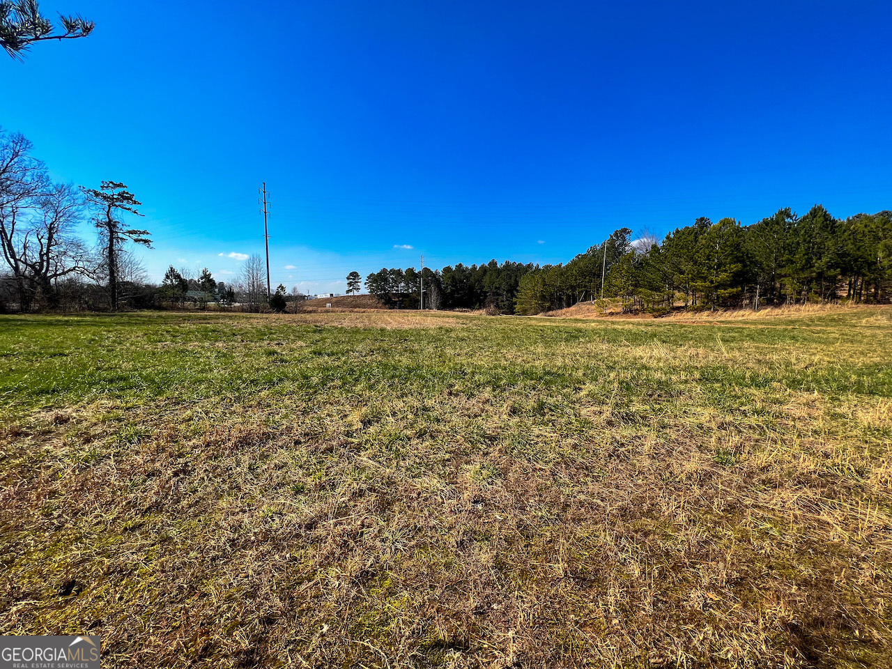 4444 State Highway Cornelia, GA 30531 - Photo 10 of 18