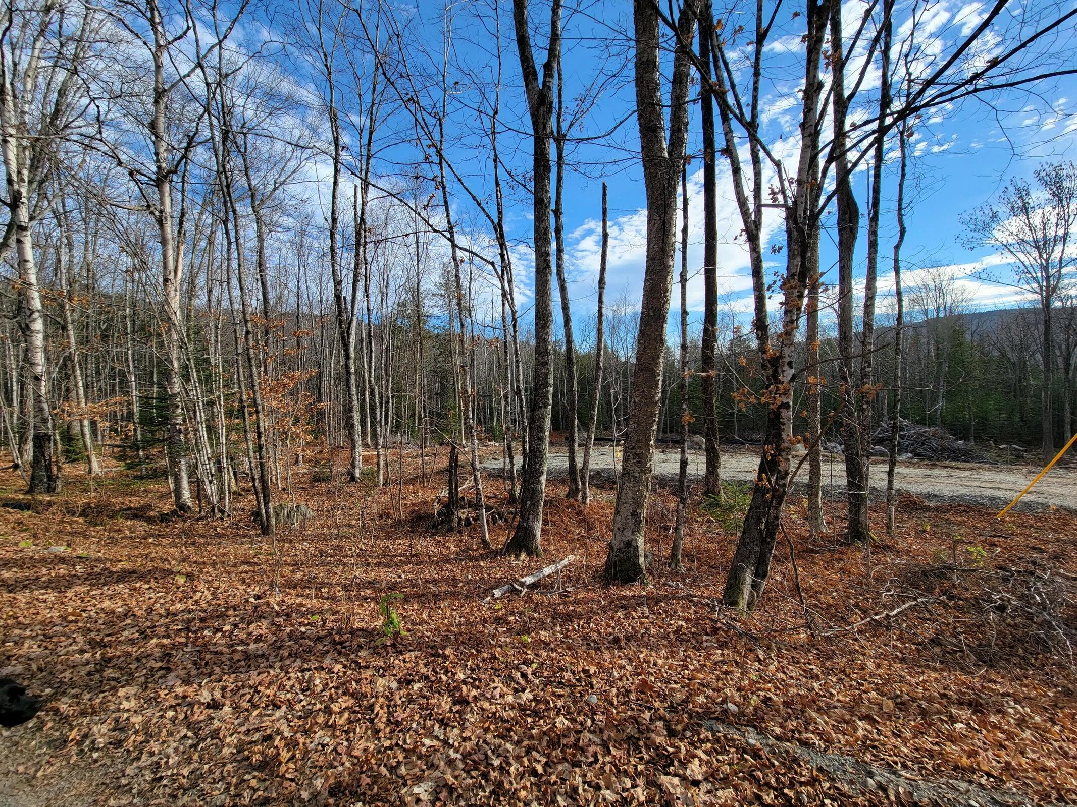 2004 Birch Trail Road Kingfield, ME 04947 - Photo 1 of 10 1