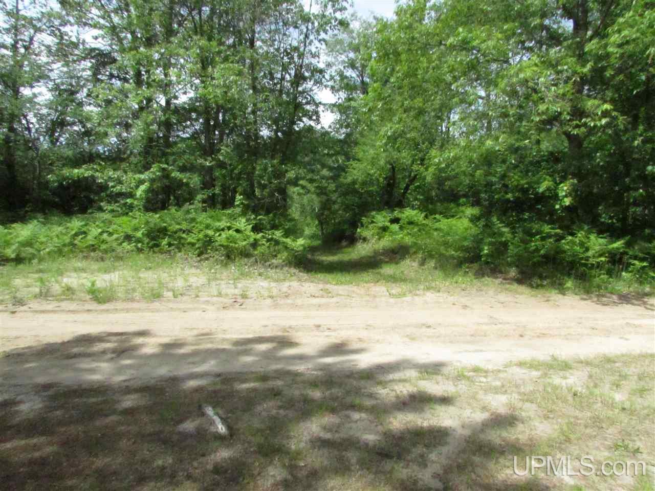 N12426 Driggs River Road Seney, MI 49883 - Photo 64 of 74 Gallery Image 64