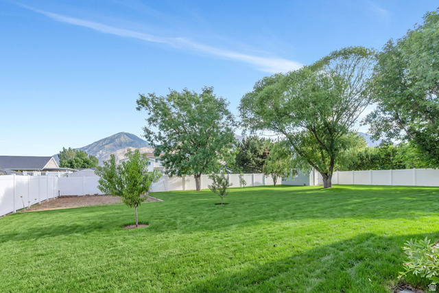 886 West 1700th Street North Mapleton, UT 84664 - Photo 19 of 21 Spacious backyard with a manicured lawn, established trees, and a white privacy fence