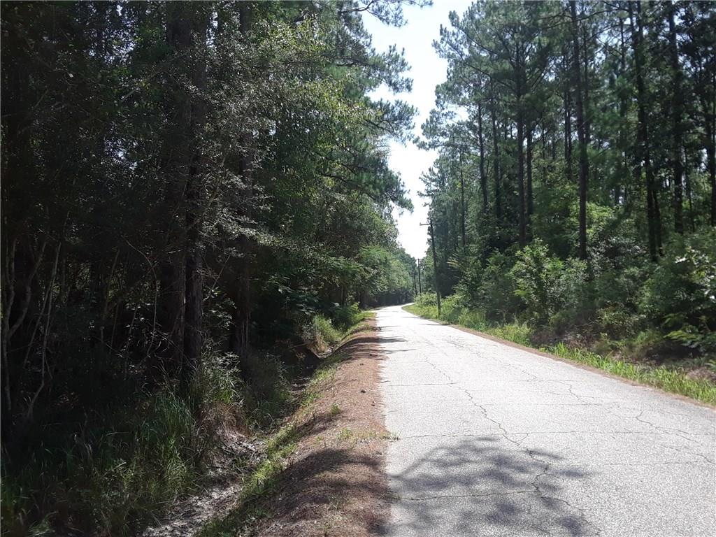 0 North Dixie Ranch Road Lacombe, LA 70445 - Photo 2 of 3 Gallery Image 2