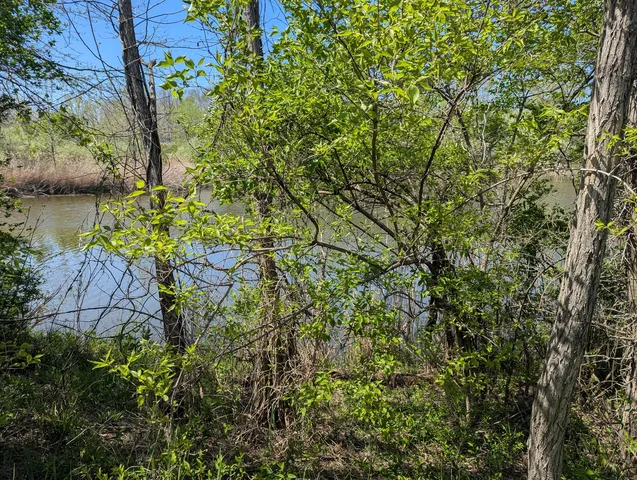 an aerial view of green landscape with trees houses and lake view