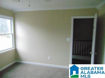 248 Wagon Trail Alabaster, AL 35007 - Photo 22 of 25