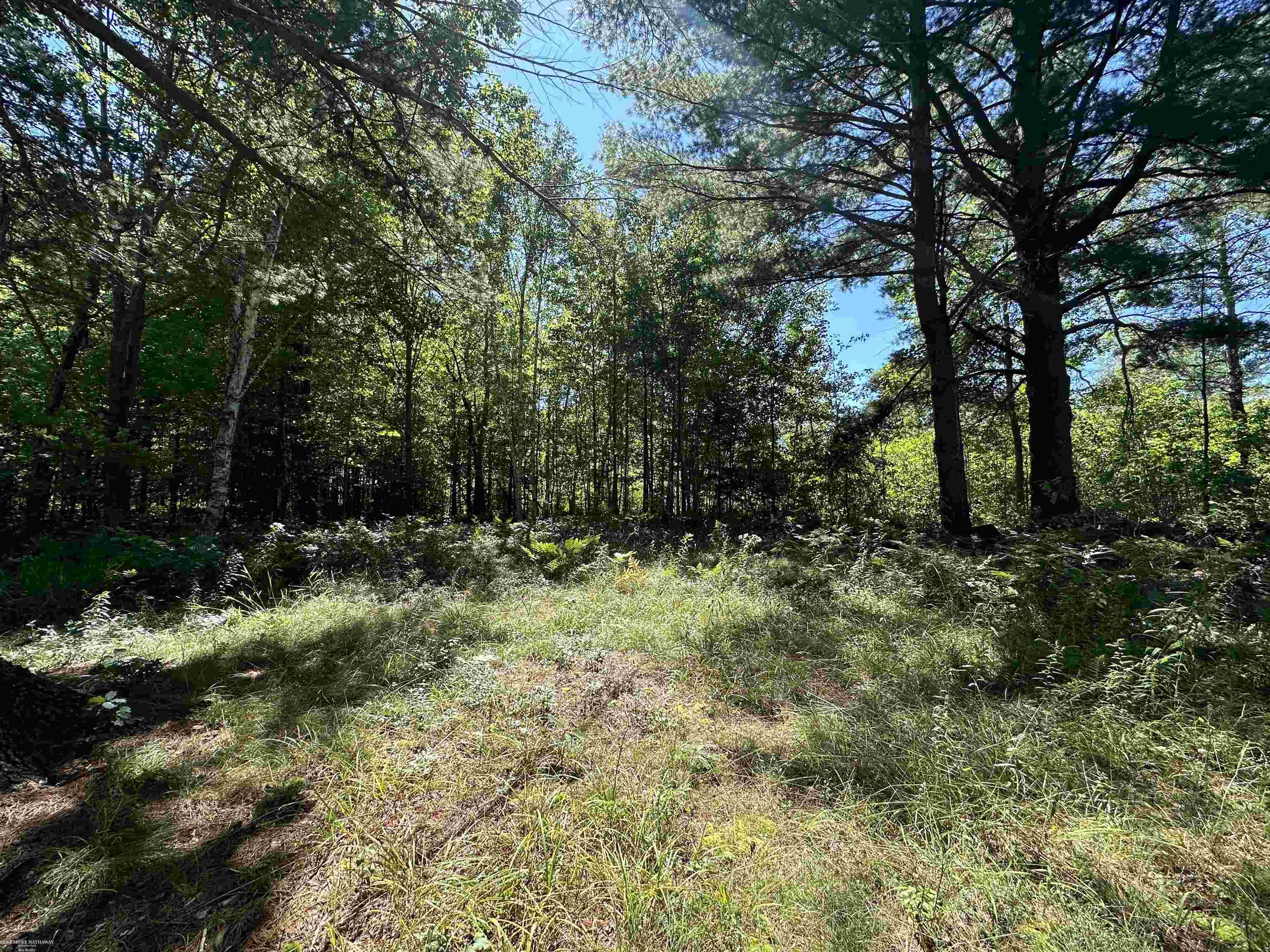 0 Long Lake Road Hale, MI 48739 - Photo 16 of 20