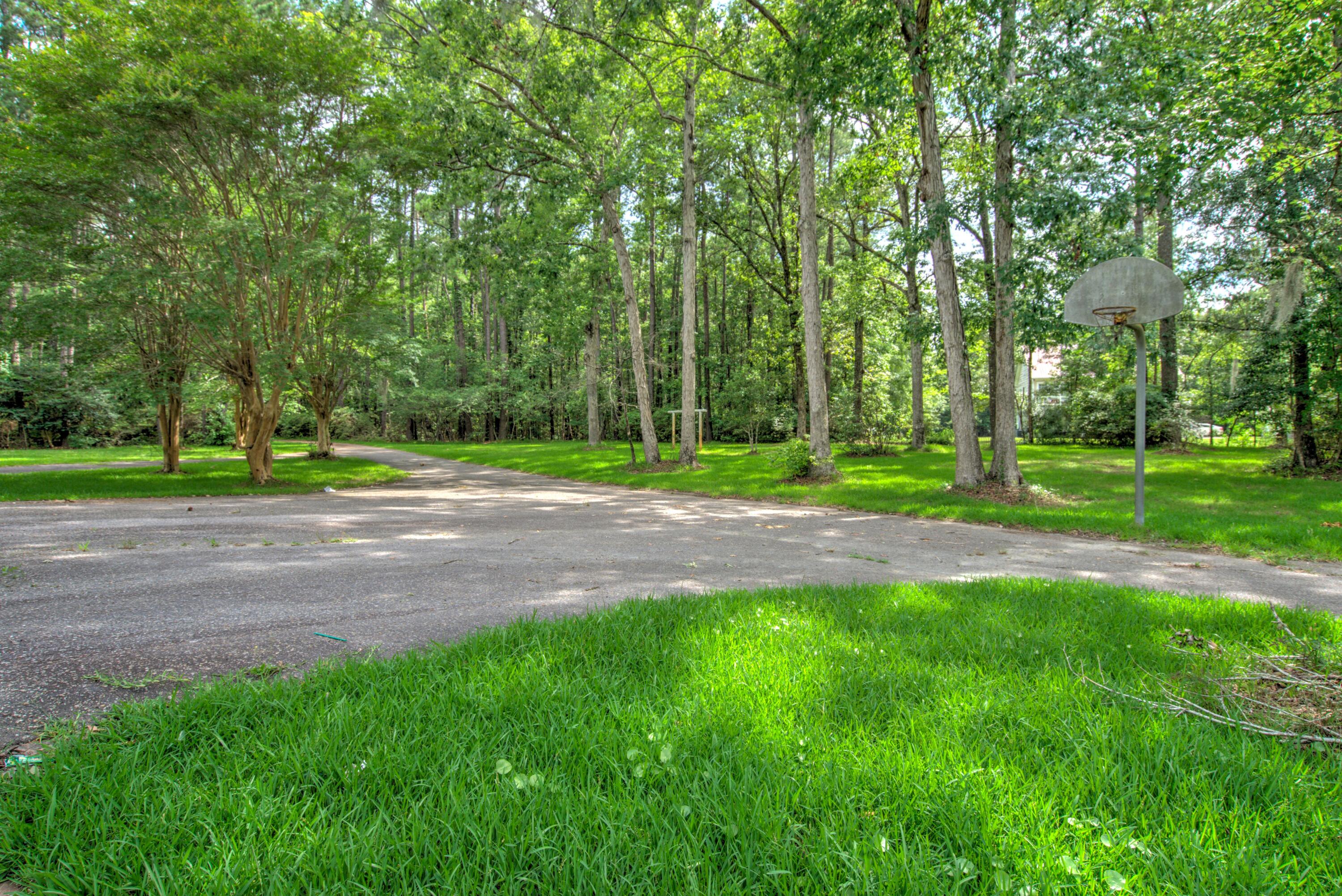 137 Old Winter Road Summerville, SC 29486 - Photo 47 of 59 DSC03590_1_2Optimizer Custom Settings