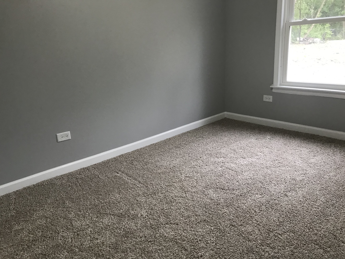 5S301 Tuthill Road Naperville, IL 60563 - Photo 6 of 18