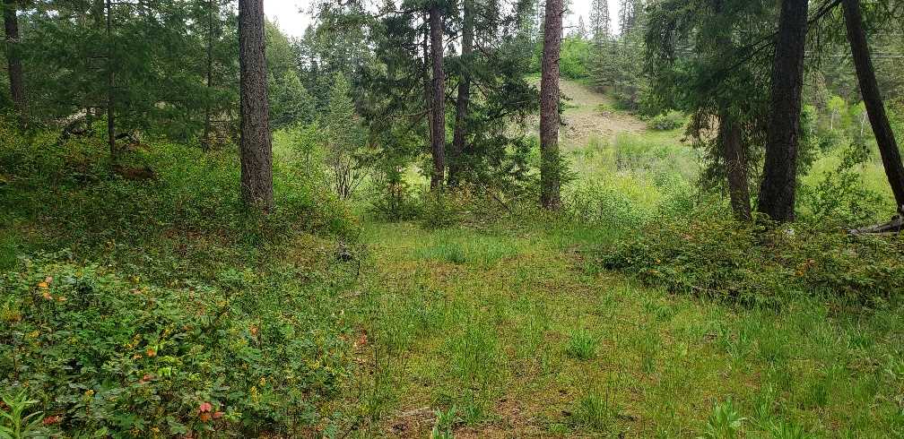 14624-xx North Shady Slope Road Spokane, WA 99208 - Photo 8 of 12