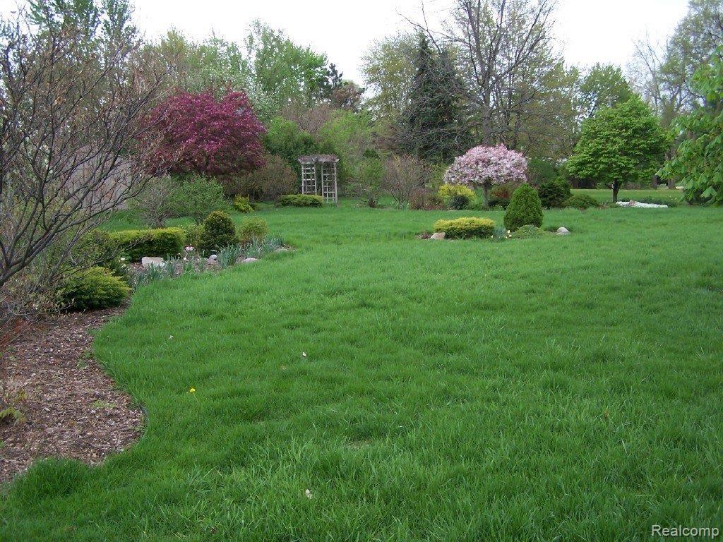1836 East Hamlin Road Rochester, MI 48307 - Photo 20 of 25 Back Yd