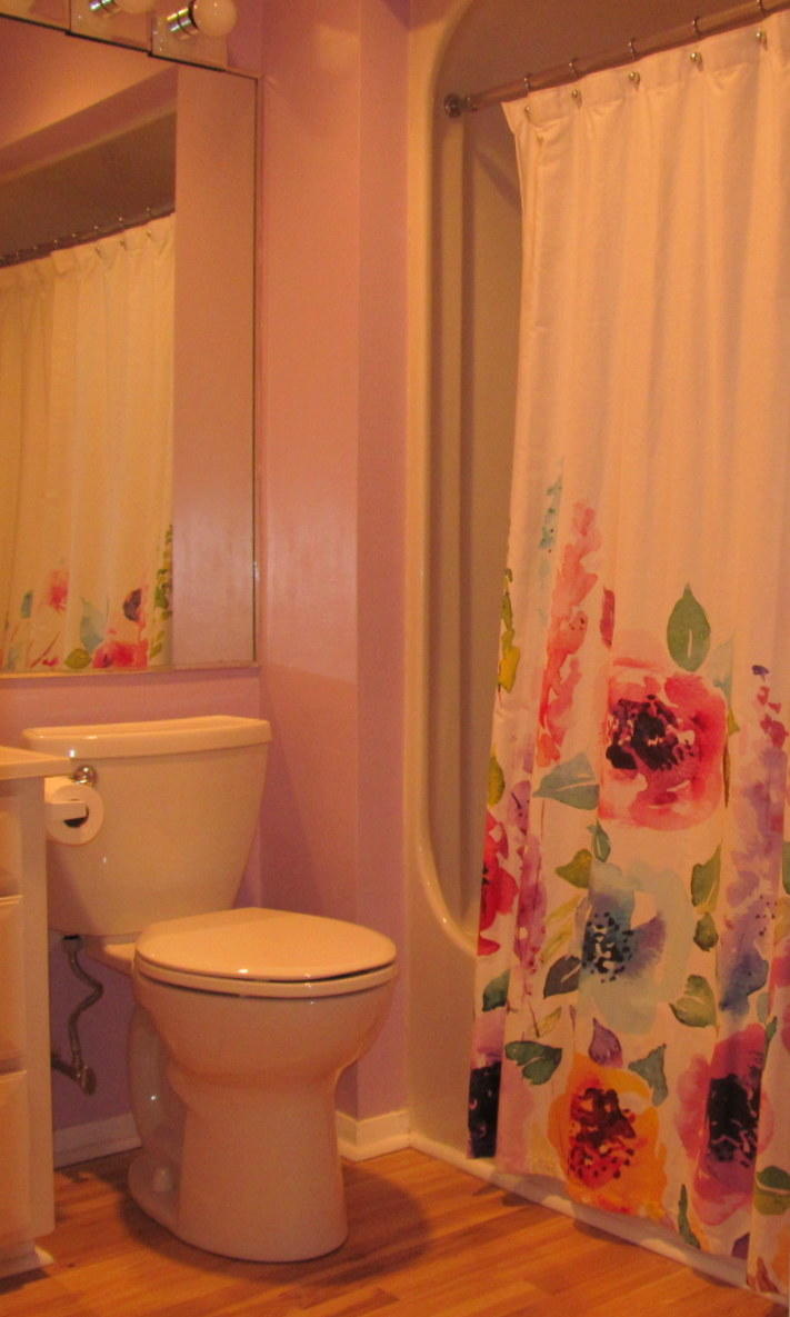 14 Round House Road Bourne, MA 02532 - Photo 12 of 18 a bathroom with a toilet and a shower curtain
