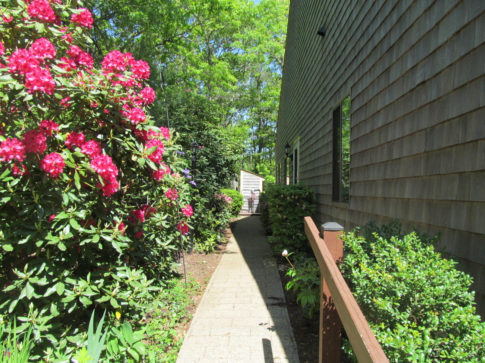 14 Round House Road Bourne, MA 02532 - Photo 13 of 18 a picture of flowers