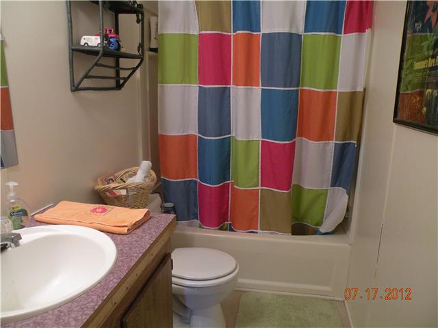 6352 Kelly Willis Road Greenbrier, TN 37073 - Photo 3 of 11 Bathroom