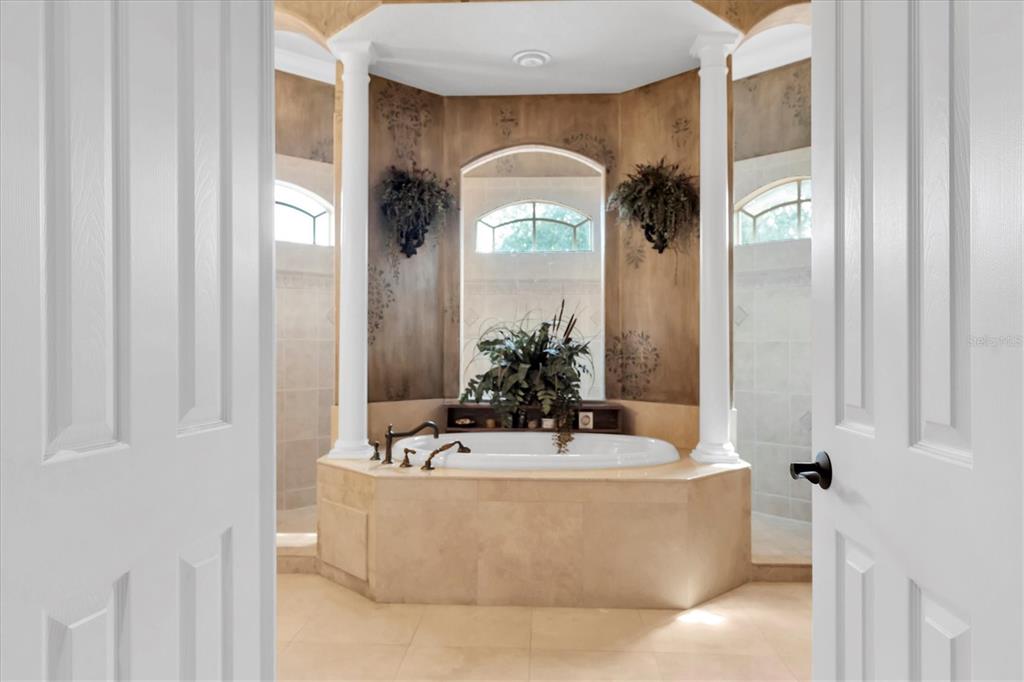 2861 Roehampton Close Tarpon Springs, FL 34688 - Photo 43 of 84 a bath tub sitting in a bathroom next to a window